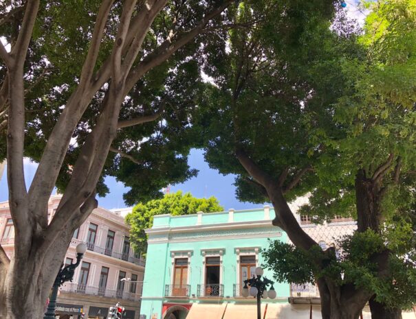 Puebla