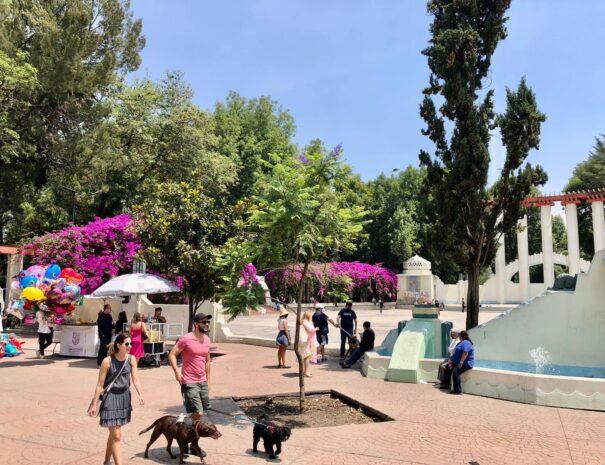 condesa