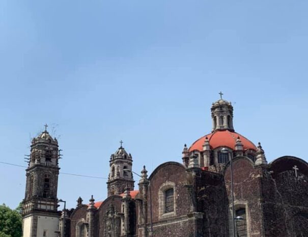 Hospitales de la Nueva España. De Hernán Cortés a Franz Mayer