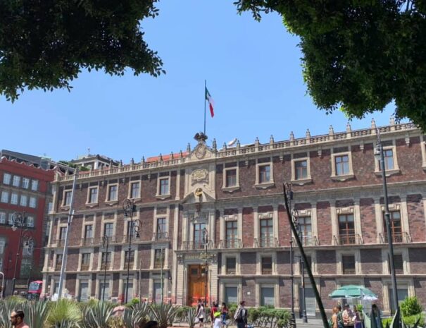 Hospitales de la Nueva España. De Hernán Cortés a Franz Mayer